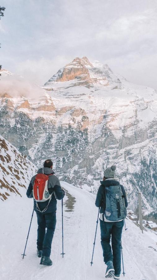 Mountain Hostel ギンメルヴァルト エクステリア 写真